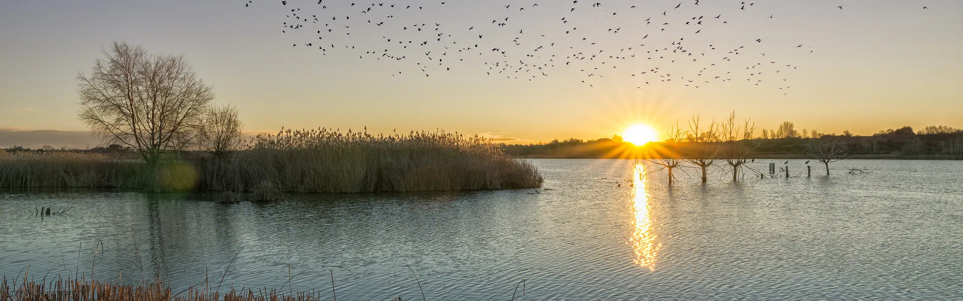 Descobreix-nos en imatges